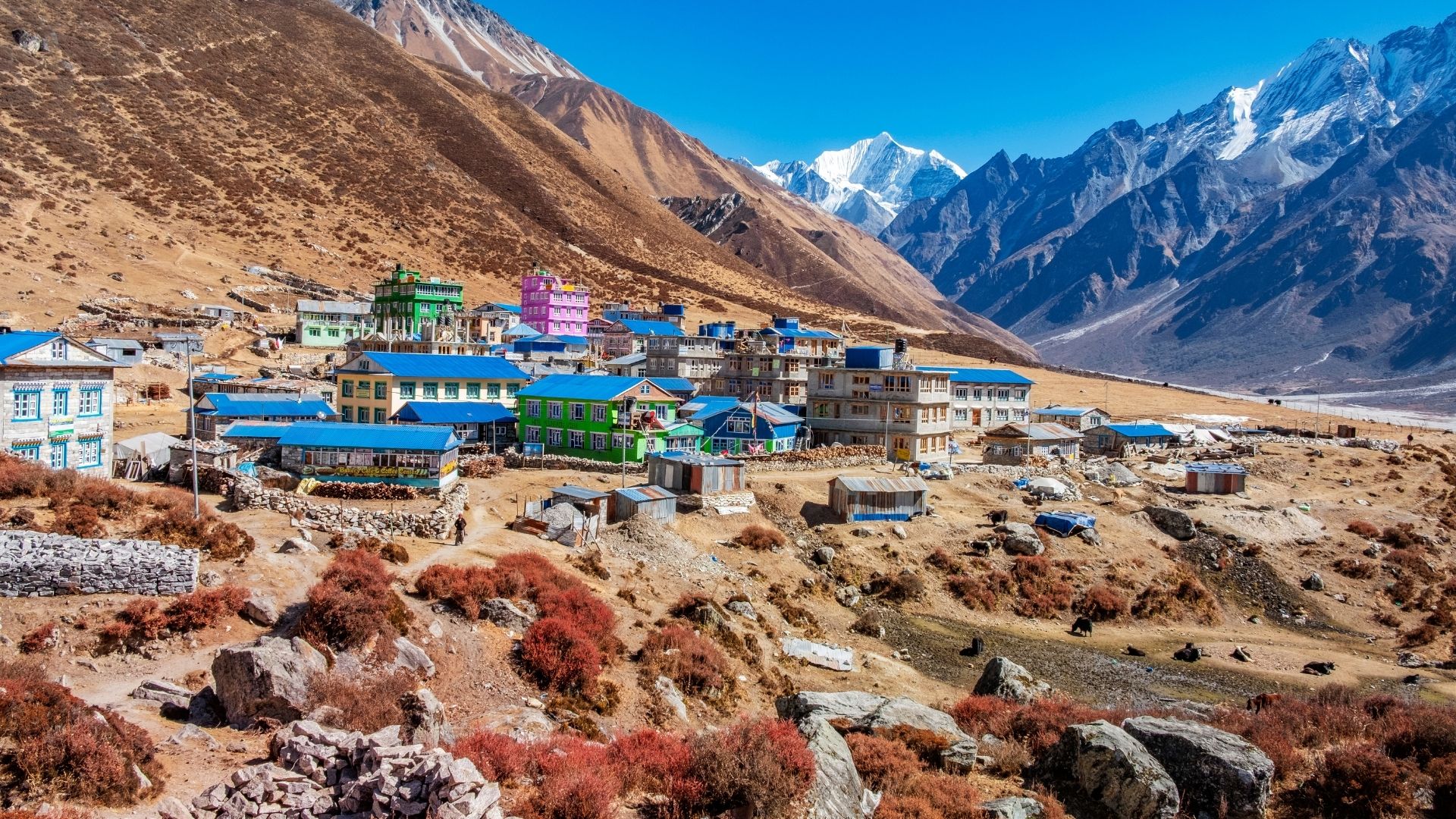 Langtang Valley Trek